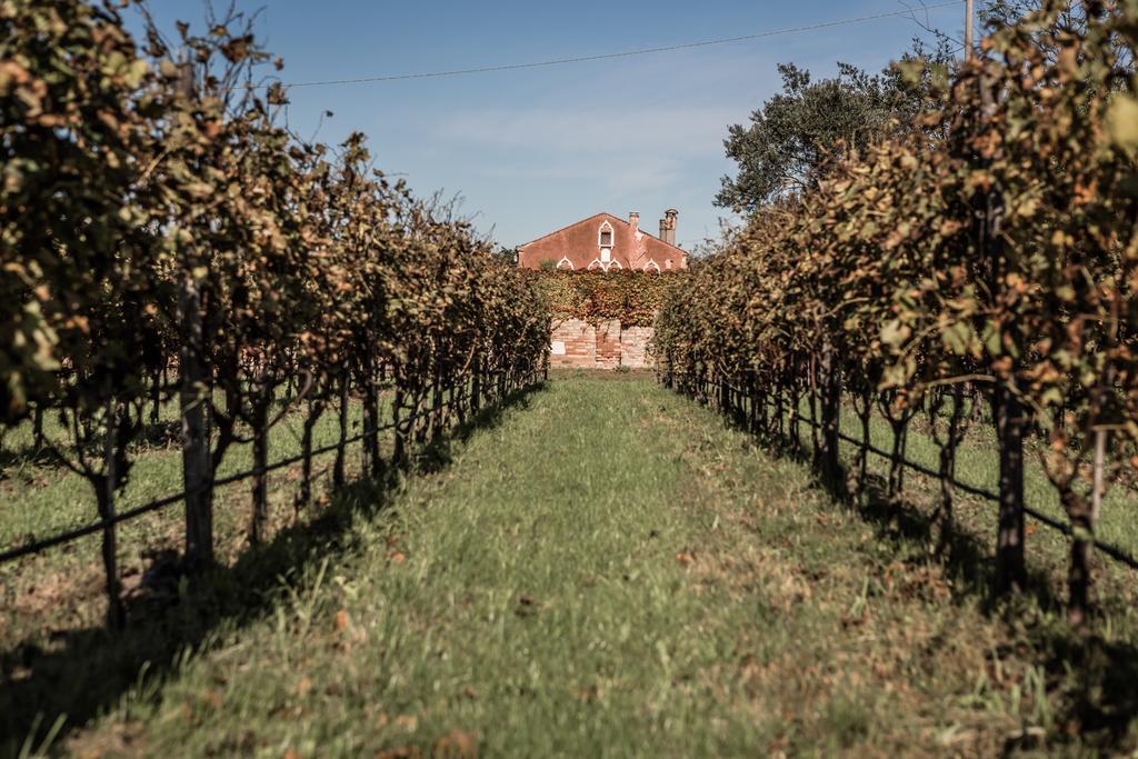 Venissa Wine 3*