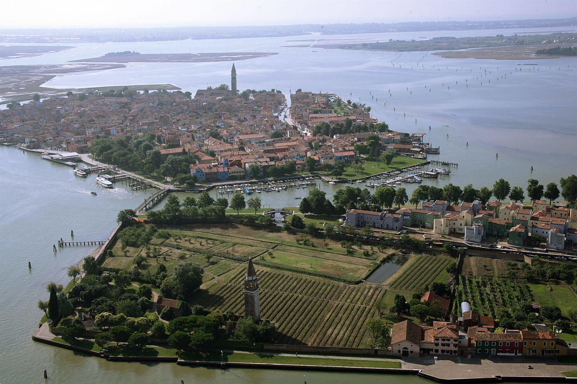 Venissa Wine